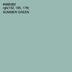 #98B9B2 - Summer Green Color Image